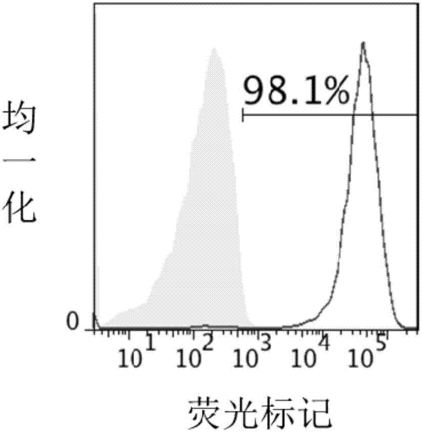 一種基于CD22的嵌合抗原受體及其應(yīng)用的制作方法與工藝