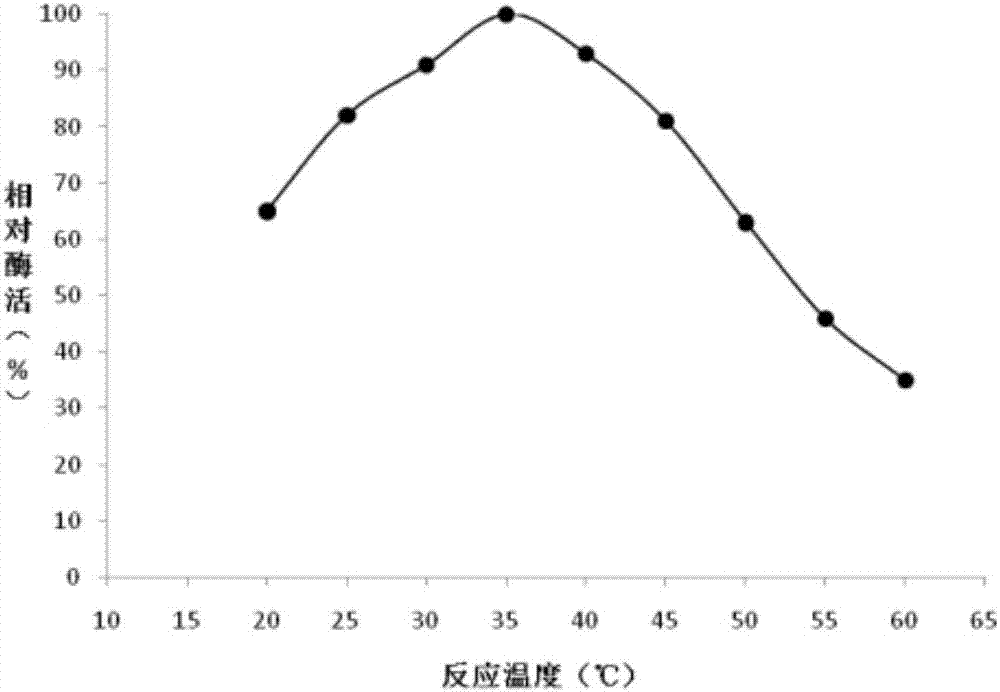 一種抗生素替代品氧化酶的制備方法與流程