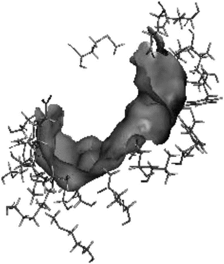 一种5‑羰基‑2‑戊烯酰基辅酶A还原酶突变体的制作方法与工艺