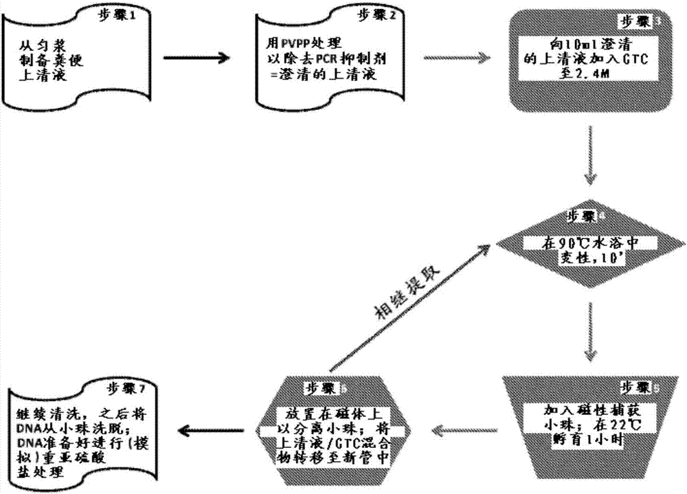 核酸的分離的制作方法與工藝