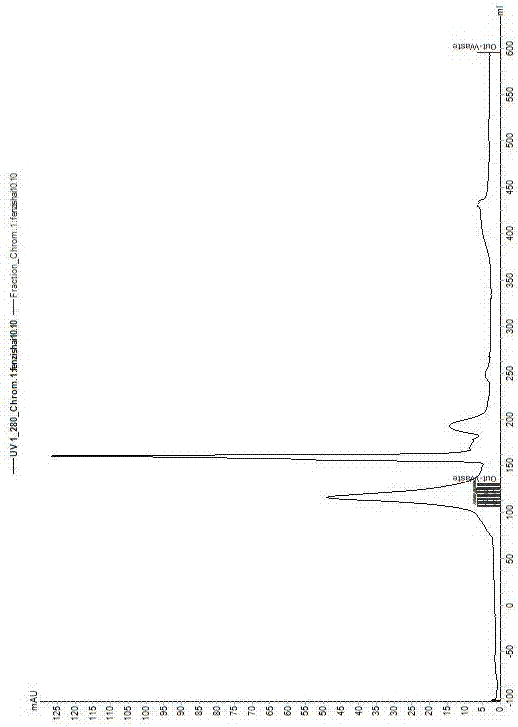 無內毒素的rLj-RGD3蛋白制備方法與流程