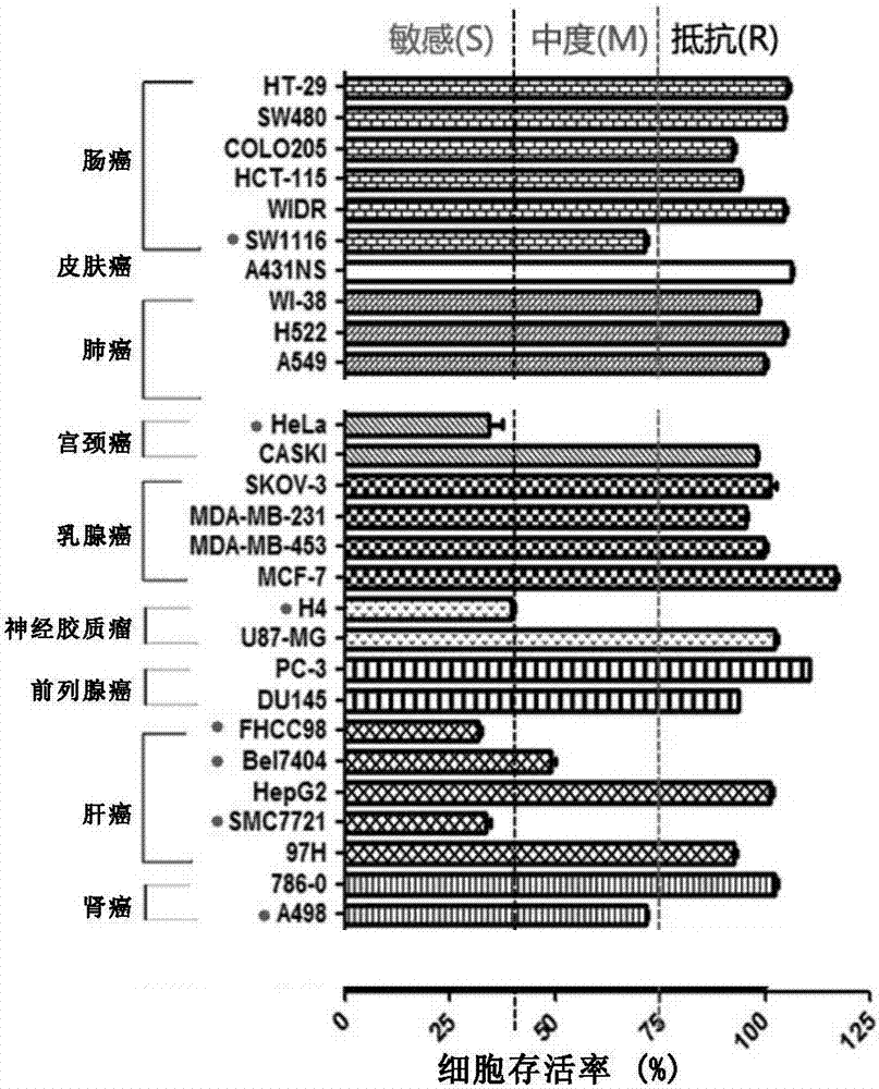 PDE3A在判斷阿那格雷治療腫瘤效果中的應用的制作方法與工藝