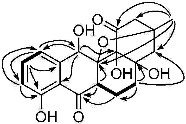 一种格菲罗霉素类化合物及其制备方法和应用与流程