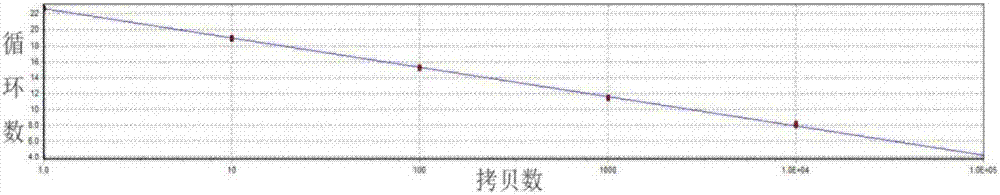 猪源大肠杆菌氟苯尼考耐药基因SYBR Green I荧光定量PCR诊断试剂盒的制作方法与工艺