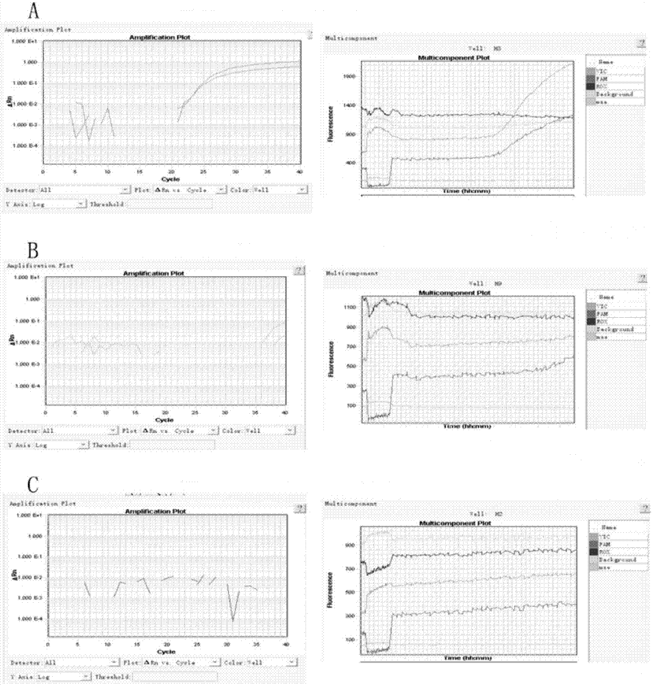 一種檢測(cè)rs2066853位點(diǎn)基因型的引物組及其檢測(cè)試劑盒和應(yīng)用的制作方法與工藝