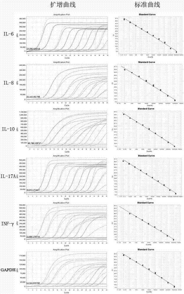 熒光定量PCR檢測(cè)樹鼩常見感染相關(guān)細(xì)胞因子的引物對(duì)、探針、試劑盒及方法與流程