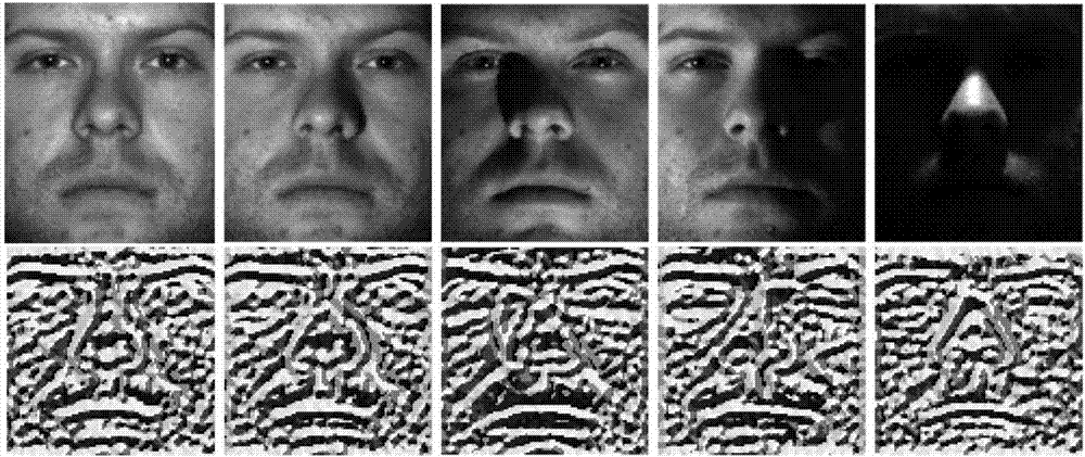 一种基于拉普拉斯对数脸及卷积神经网络的人脸识别方法与流程