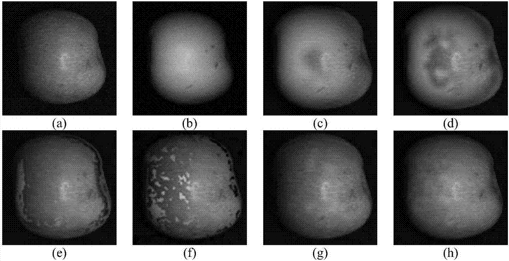 面向苹果品质检测的图像融合方法与流程