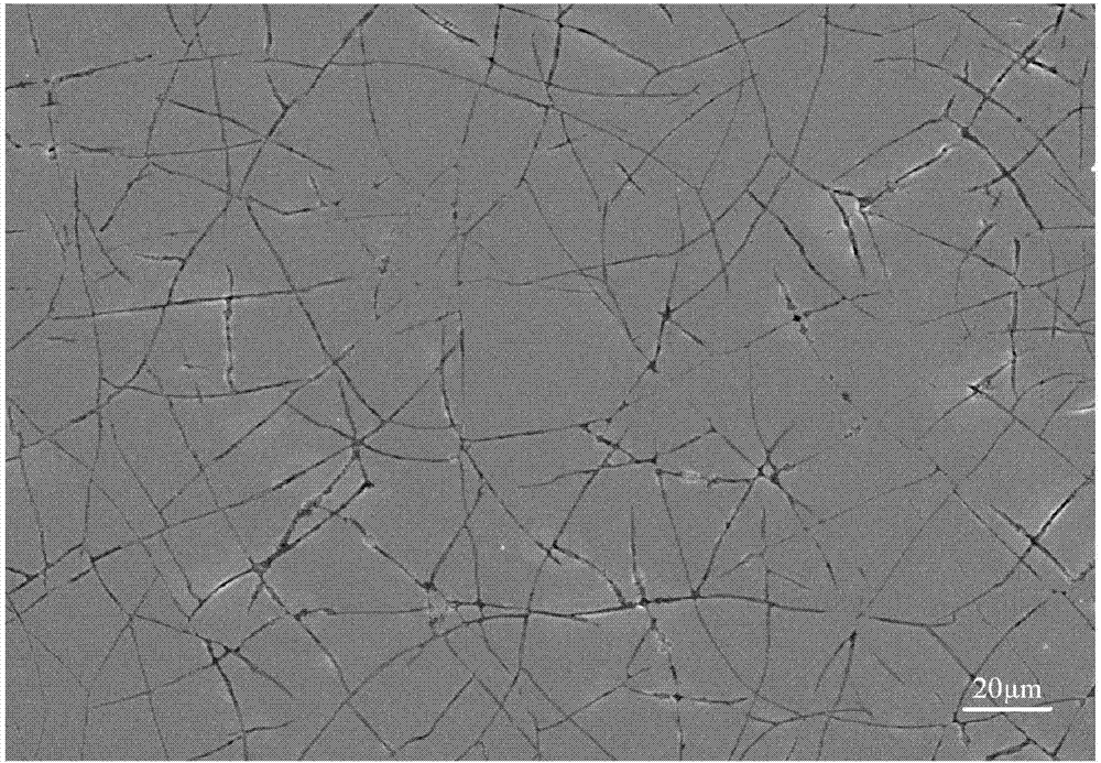 一种铬陶瓷复合镀层网状裂纹定量检测方法与流程