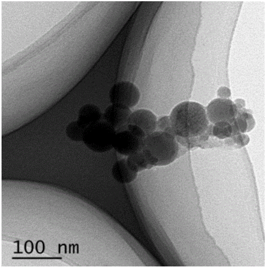 银纳米粒子交联的水凝胶、其制备方法及应用与流程