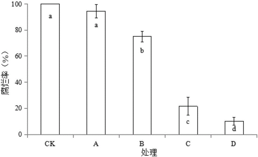 一株控制苹果采后青霉病的酵母菌及其应用的制作方法