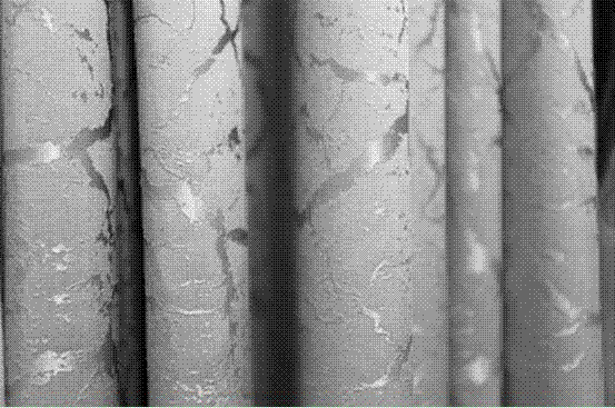 一种涤纶纤维与棉纤维交织的幻彩系列面料及其织造工艺的制作方法