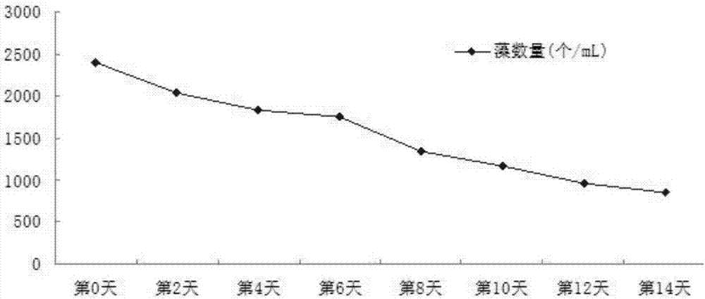 用于景观水体的同步溶藻反硝化生物浮床原位修复方法与流程