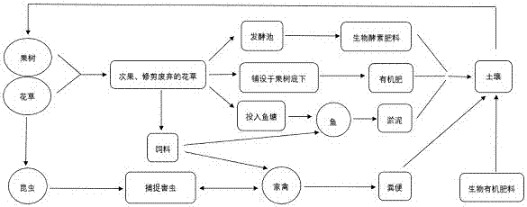 一种零农药的生态循环果树种植方法与流程