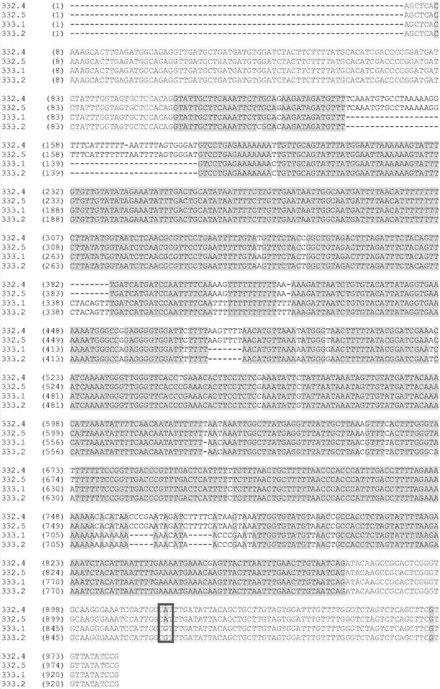 低饱和脂肪向日葵及相关方法与流程