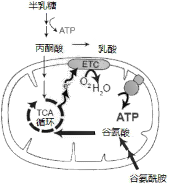 治疗退化性及缺血性疾病的方法和组合物与流程