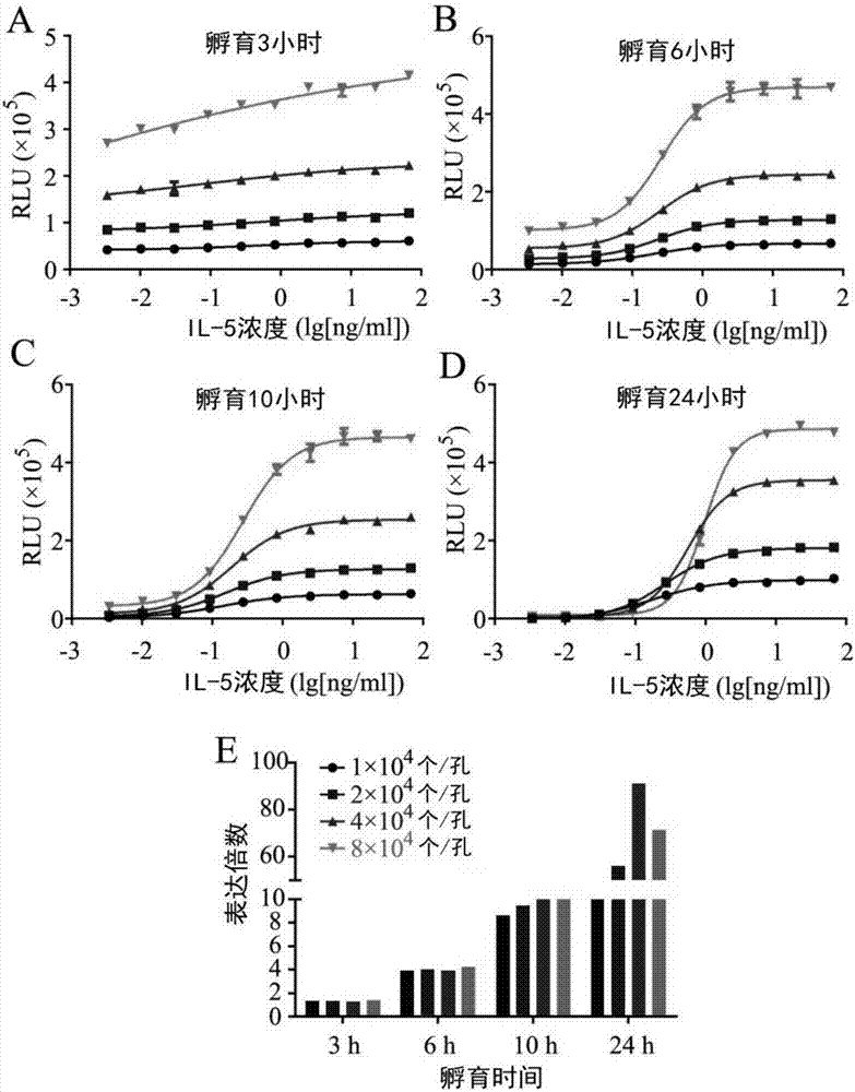 转基因细胞测活方法测定IL‑5或IL‑5Rα抗体活性与流程