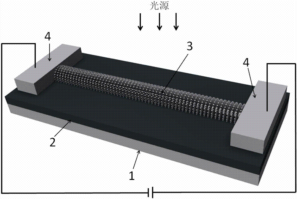 一种3D树枝状结构的光电探测器及其制作方法与流程