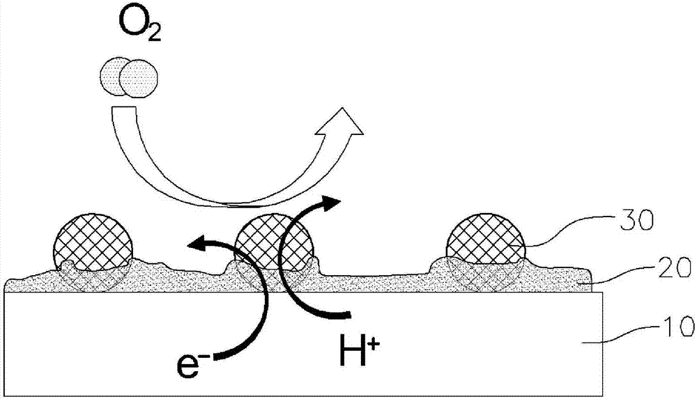 非水性燃料电池催化剂及其制造方法与流程