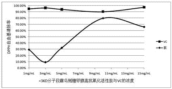 雌乌贼缠卵腺酶解制备高抗氧化活性多肽的方法与流程