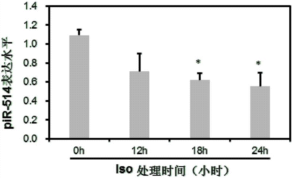 piRNA‑514核苷酸类似物及其反义核苷酸的应用和应用其的产品的制作方法