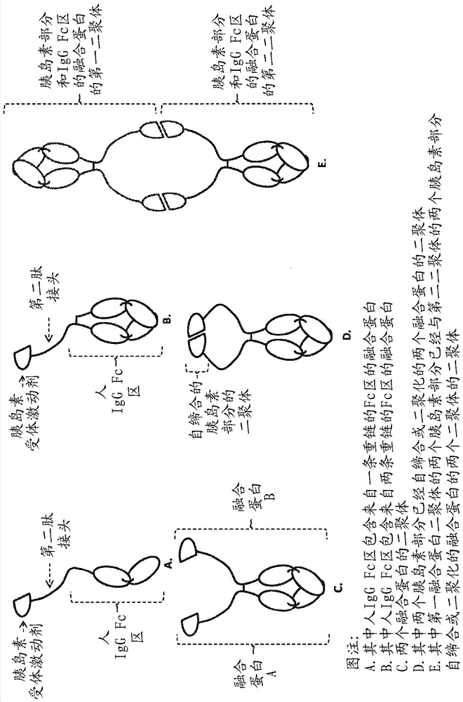 融合蛋白的制作方法