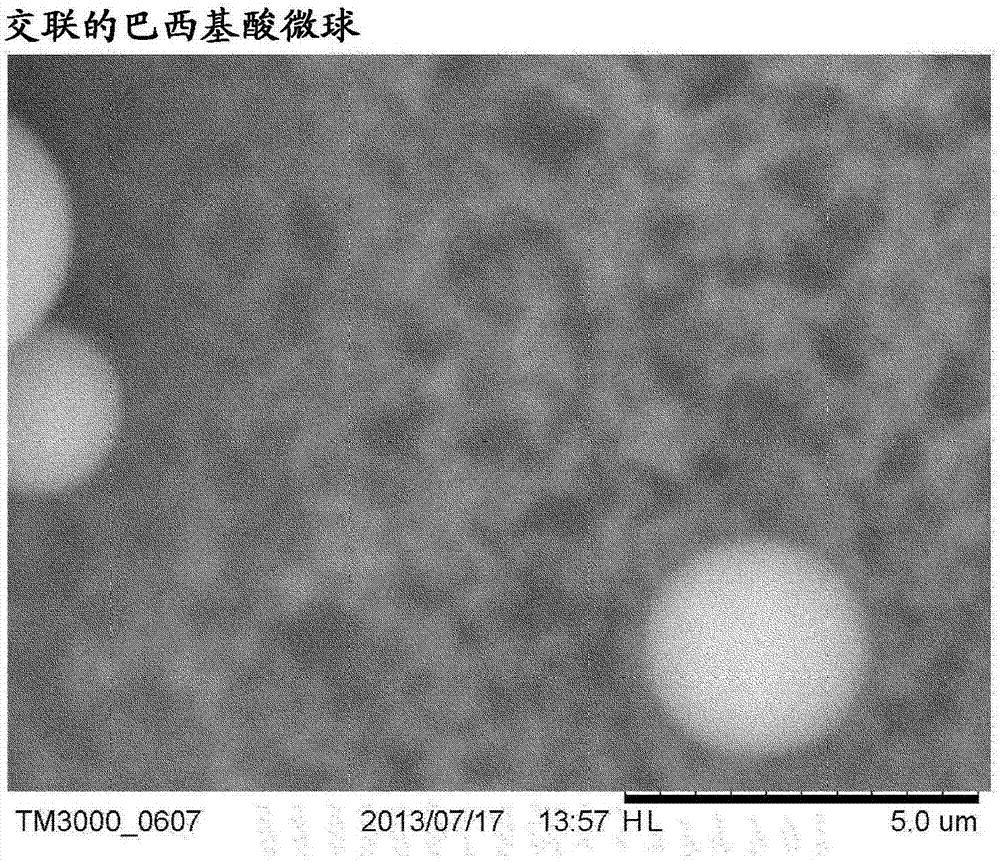 微粒的制作方法