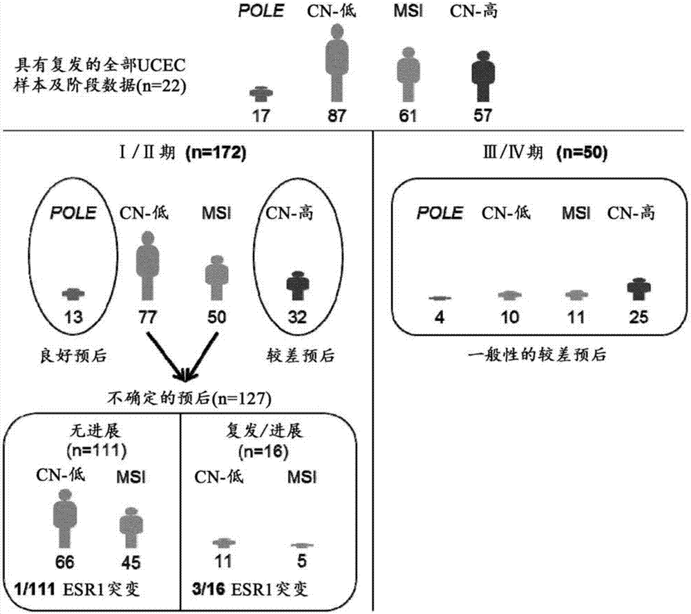 用于测定子宫内膜癌预后的组合物和方法与流程