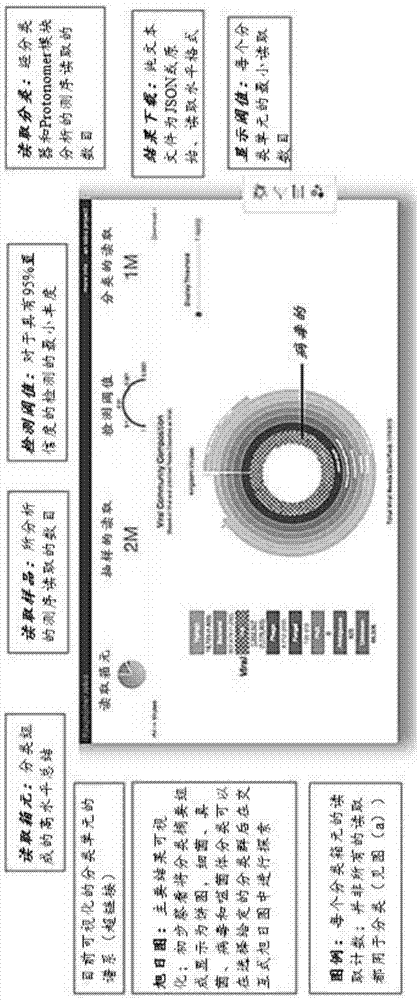 用于多重分类学分类的方法和系统与流程