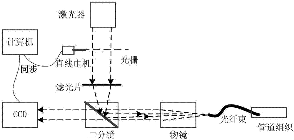 图像重建方法、装置及显微成像装置与流程