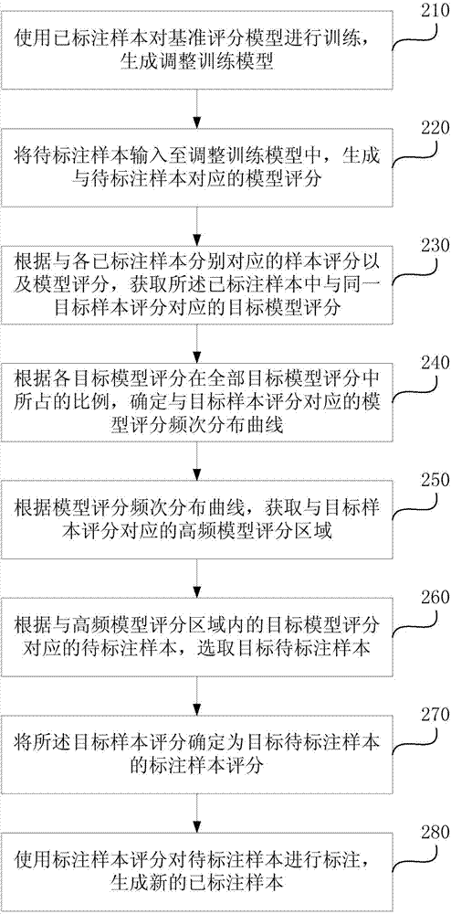 详细步骤与技巧 (详细的步骤)