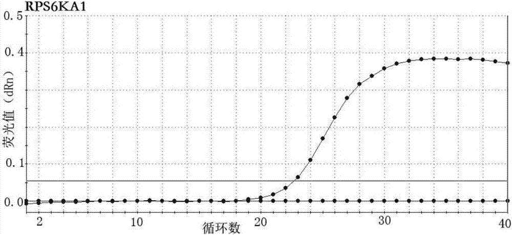 非酒精性脂肪性肝炎的多基因组合检测试剂盒的制作方法