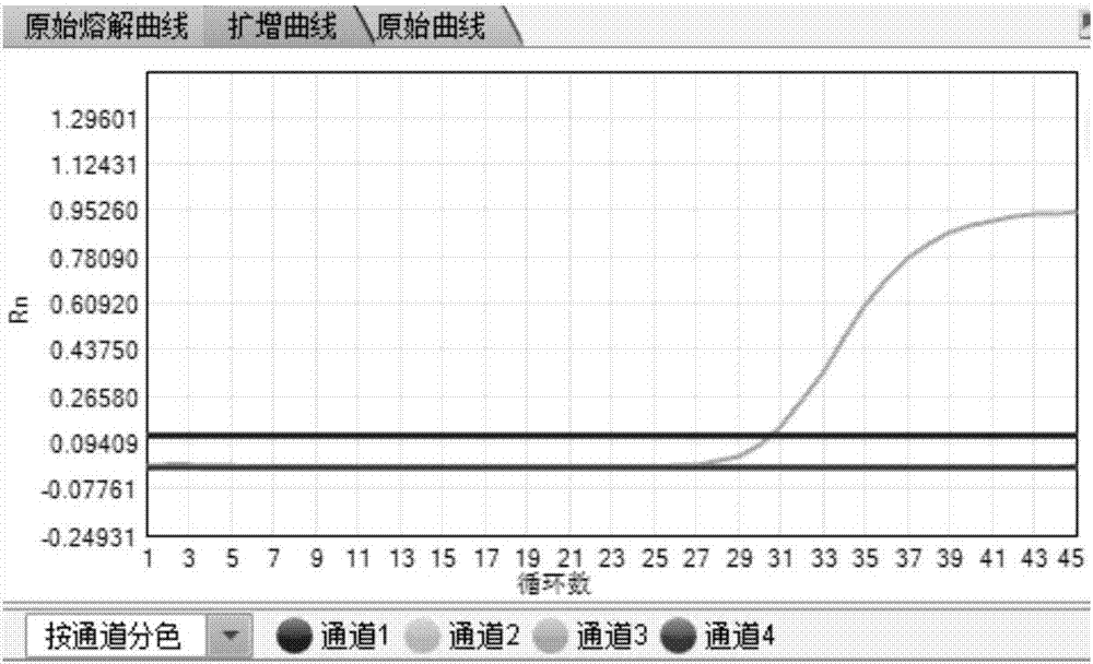 用于联合检测多种呼吸道细菌的荧光PCR检测体系、试剂盒及检测方法与流程