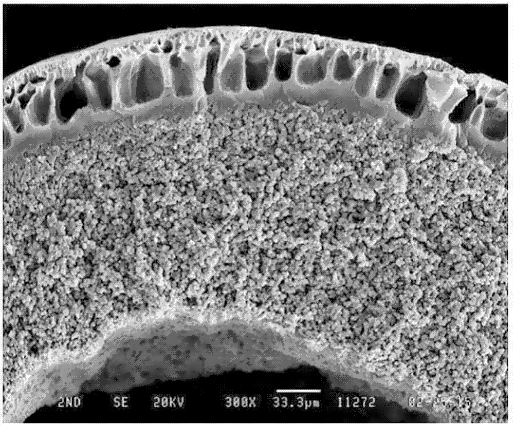 中空纤维膜制造方法及中空纤维膜与流程