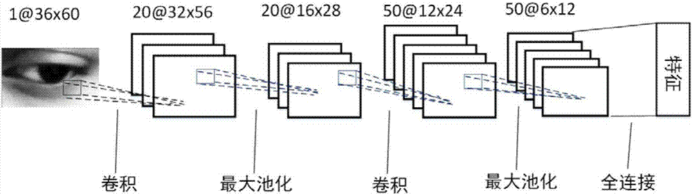 一种人眼左右眼图像联合的视线方向计算方法与流程