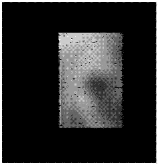 基于受限玻尔兹曼机的置换混叠图像盲分离方法及系统与流程
