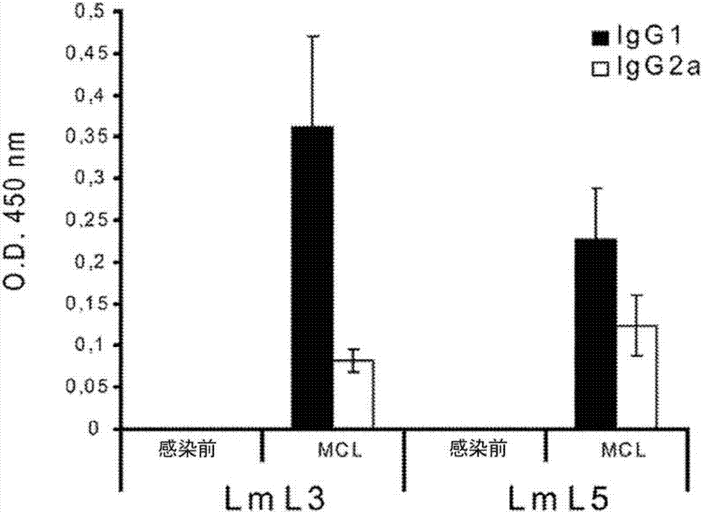 L3和/或L5源作为寄生虫病疫苗或诊断的用途的制作方法