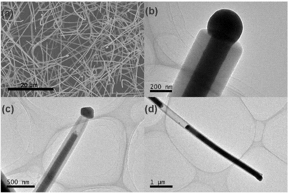 一种制备硫化亚锡/硅氧化物核壳结构纳米线的方法与流程