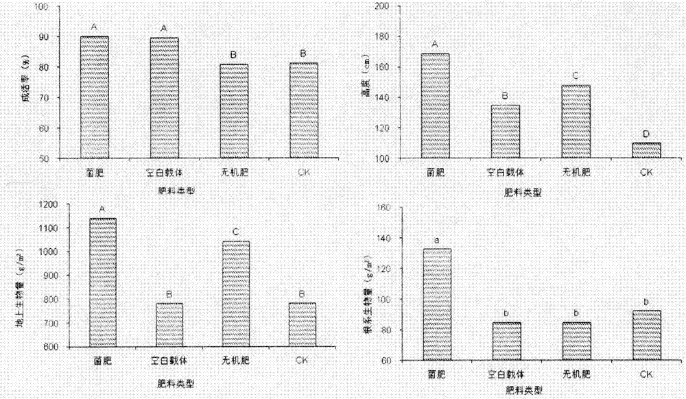 一种用于沙漠、沙地沙质土壤的生物菌肥及制备和应用的制作方法