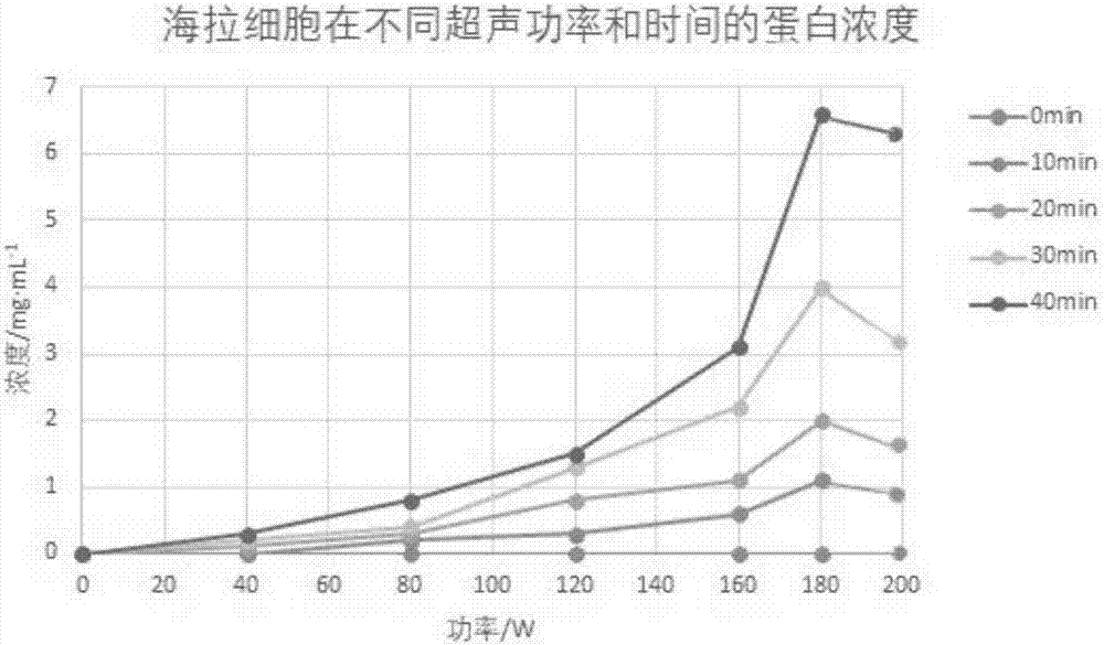 超声固相破碎细胞的方法及应用与流程