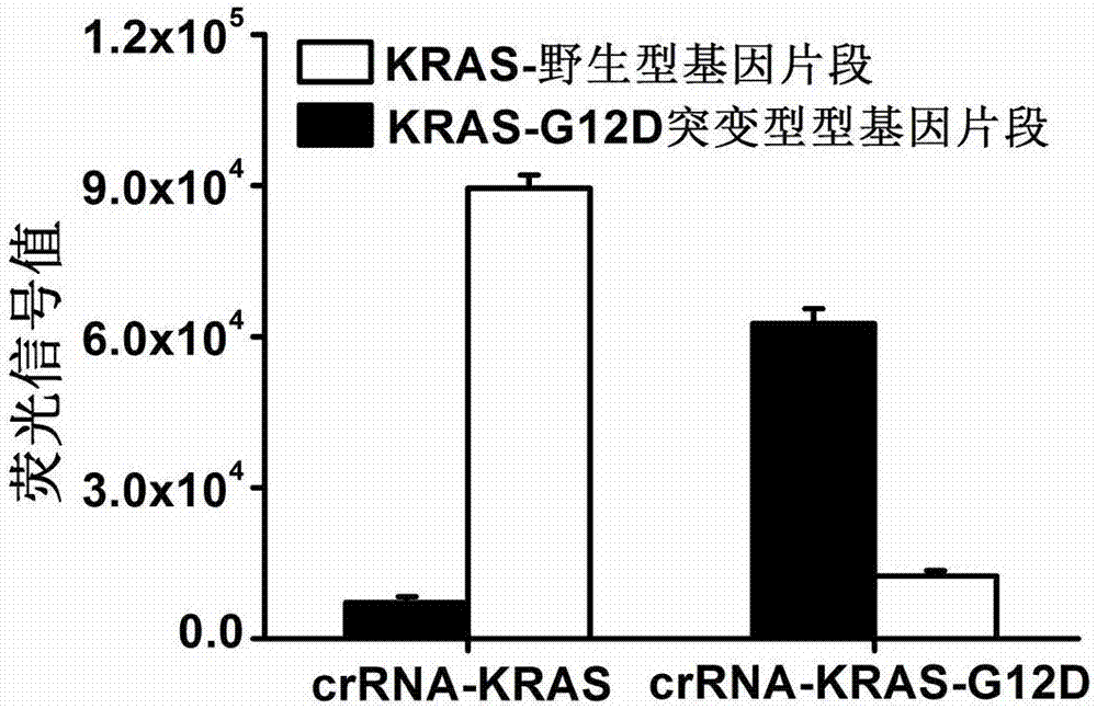 一种基于CRISPR‑Cas13a的特异性核酸片段的检测方法与流程