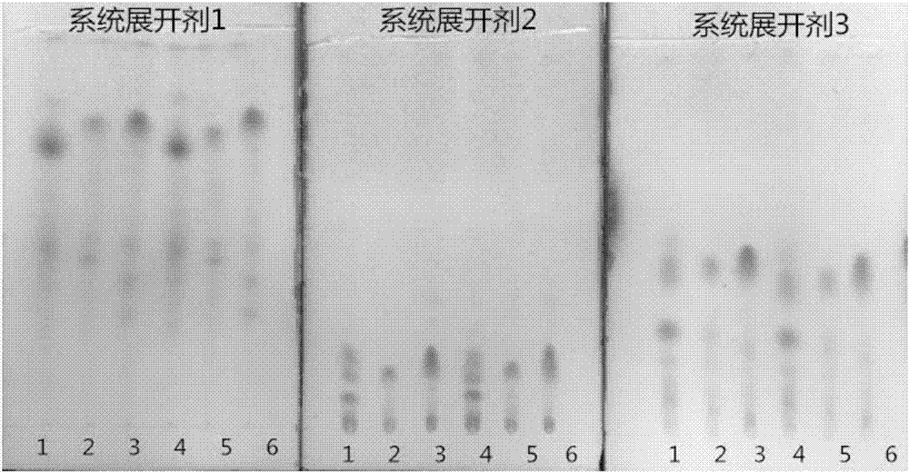 一种六神曲的薄层色谱检测方法与流程