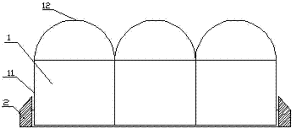 一种毛桃用连栋大棚建设方案的制作方法