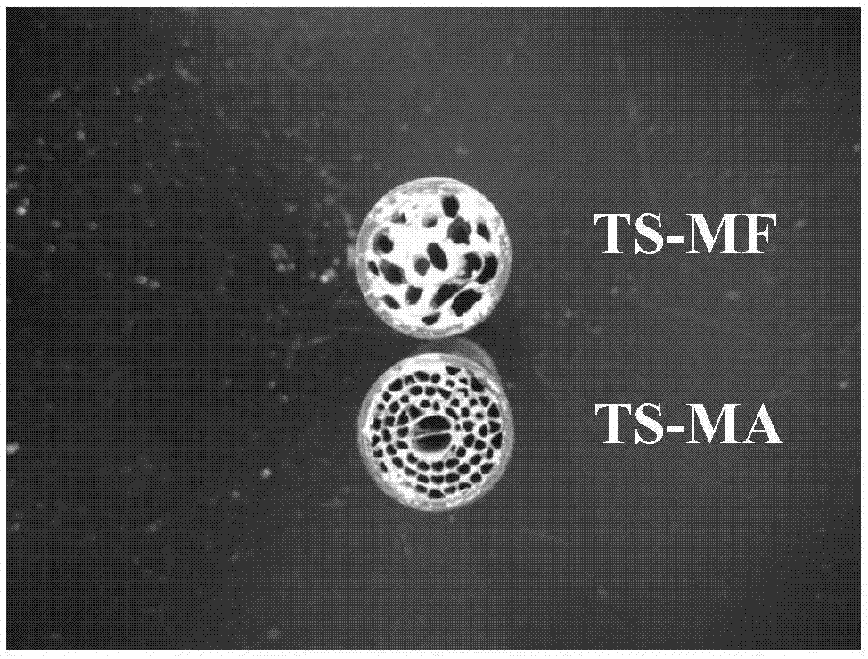 高稳定性整体式钛硅分子筛催化剂及其制备方法与流程