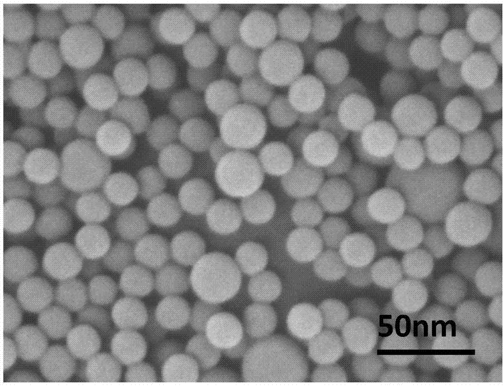 磁性高分子核壳结构微球及其制备方法和应用与流程