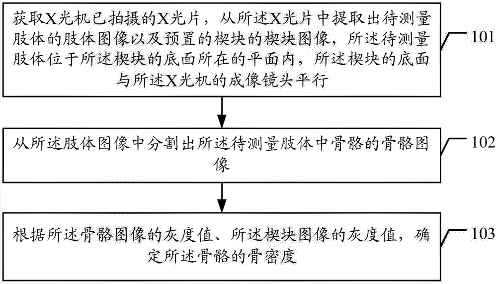 骨密度的测量方法及装置与流程