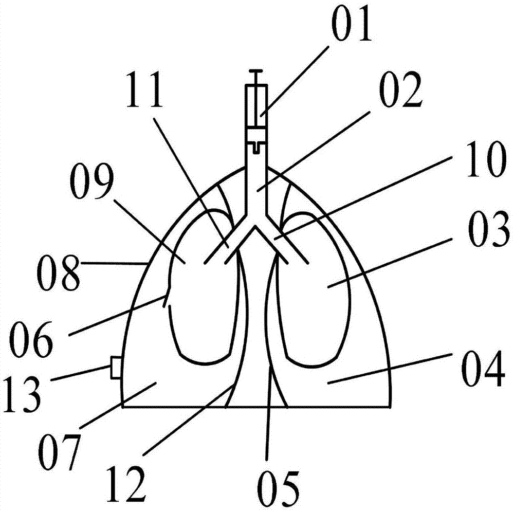 一种气胸教学模型的制作方法