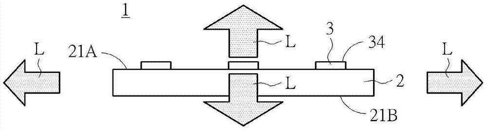 半导体发光元件及其发光装置的制作方法