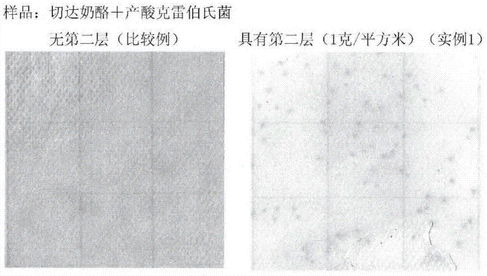 用于检测微生物的具有两个层的培养基的制作方法