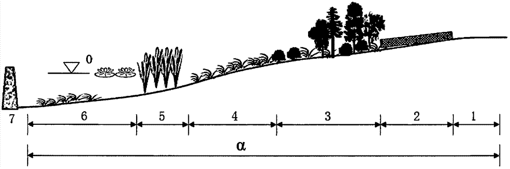 城郊缓坡型水陆交错带植被群落构建方法与流程